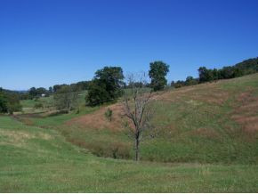 Lot 10 Buckingham Road, Unit 10B Johnson City, TN 37615 - Photo 8 of 9 Photo 8