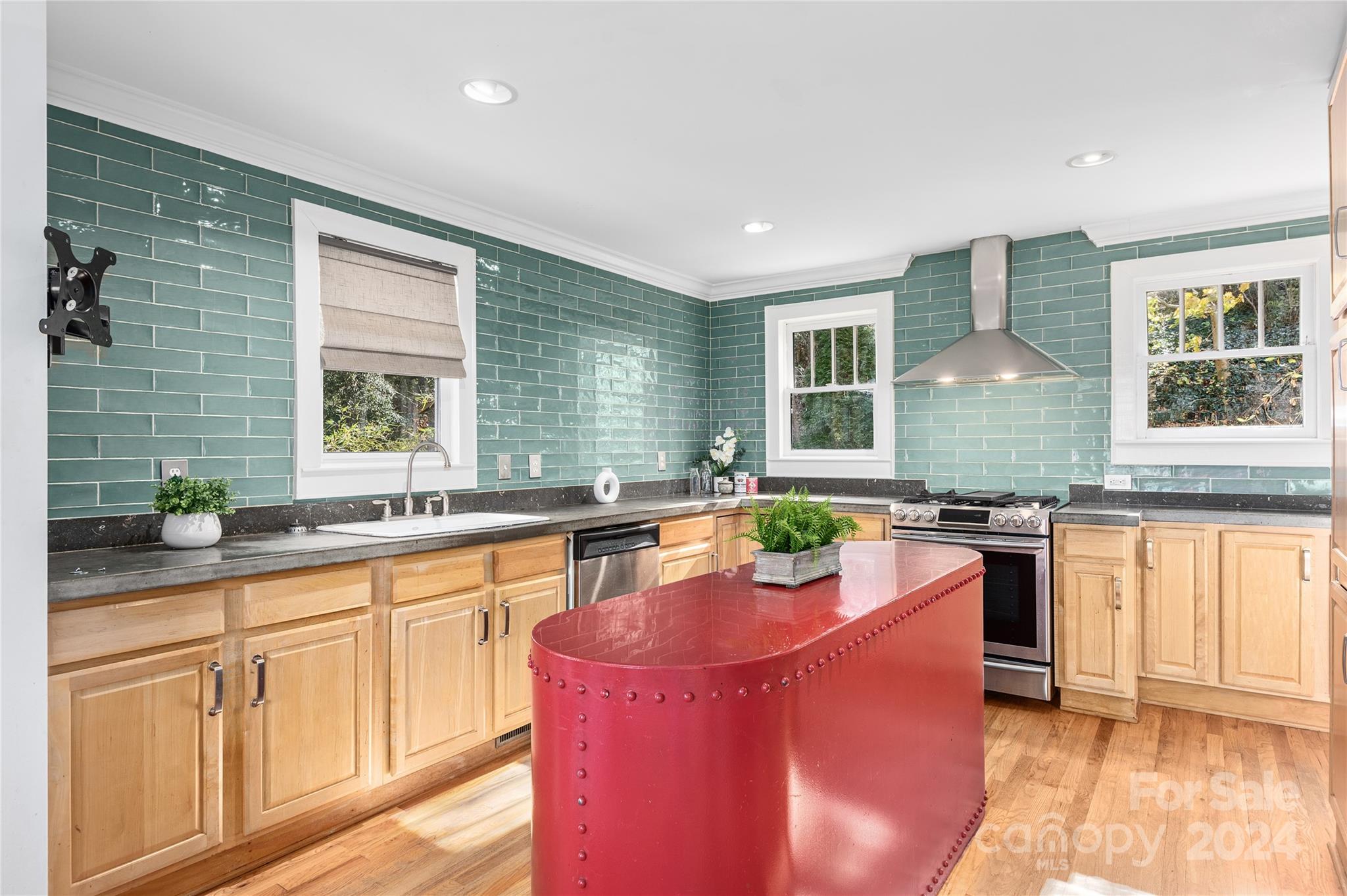 16 Cherokee Road Asheville, NC 28801 - Photo 8 of 28 Gallery Image 8