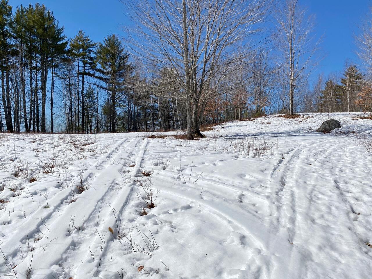 0 Durgintown Road Hiram, ME 04041 - Photo 9 of 22 Hiram 6