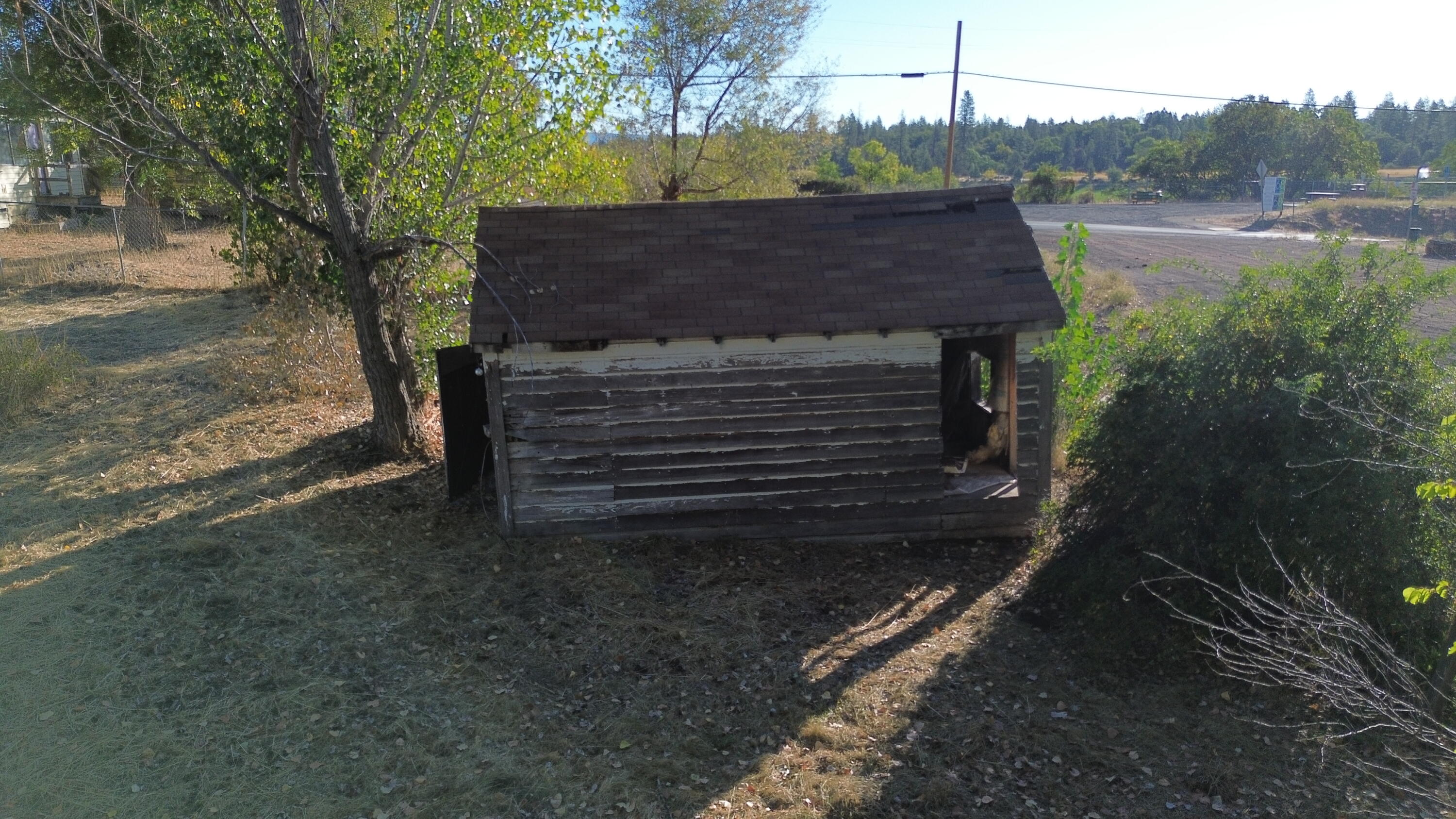 43195 Bridge Street Fall River Mills, CA 96028 - Photo 12 of 20 a view of a back yard of the house