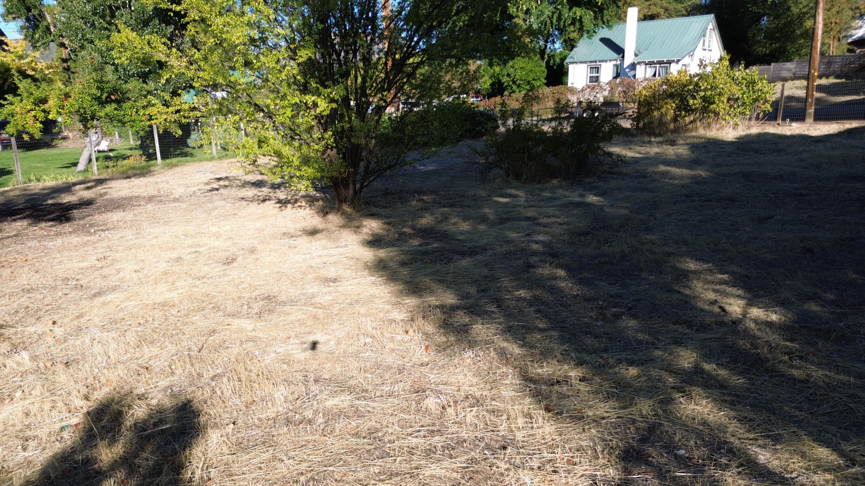 43195 Bridge Street Fall River Mills, CA 96028 - Photo 14 of 20 a view of a yard with plants and large trees