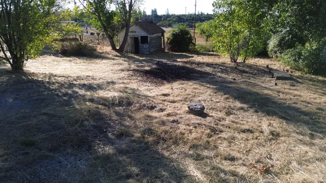 a view of a backyard