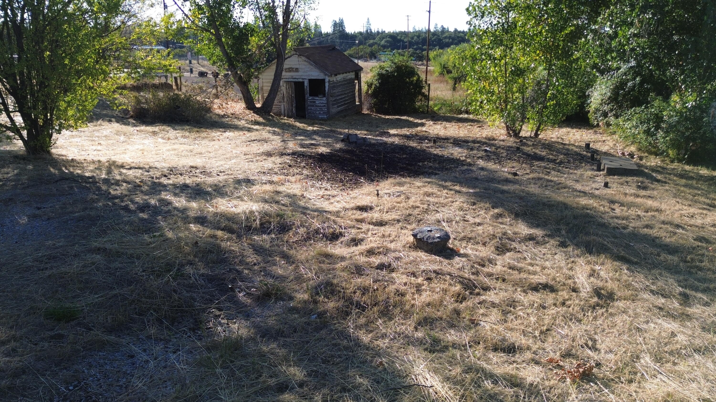 43195 Bridge Street Fall River Mills, CA 96028 - Photo 17 of 20 a view of a dry yard with trees