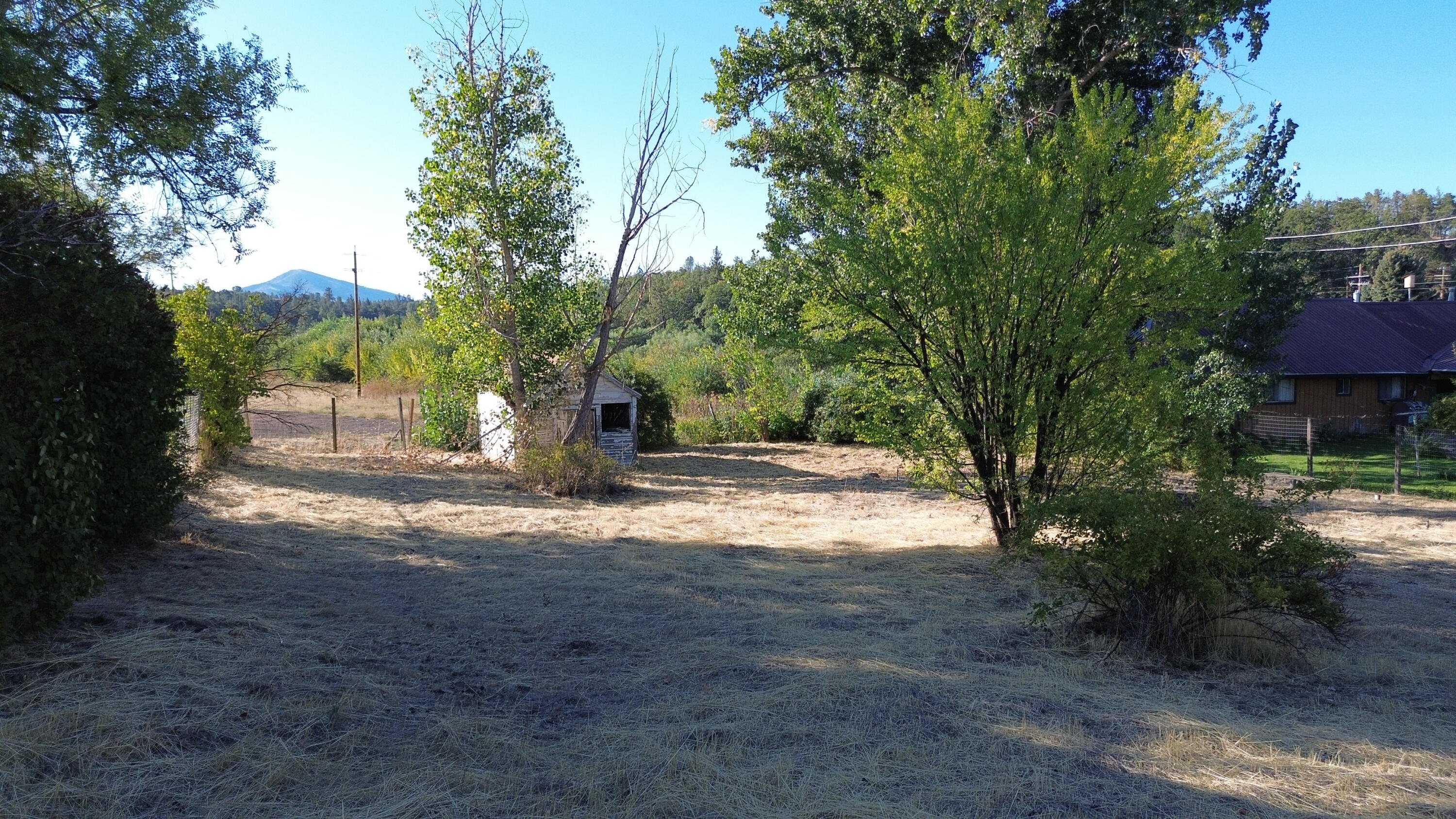 43195 Bridge Street Fall River Mills, CA 96028 - Photo 19 of 20 a view of a yard with plants and trees