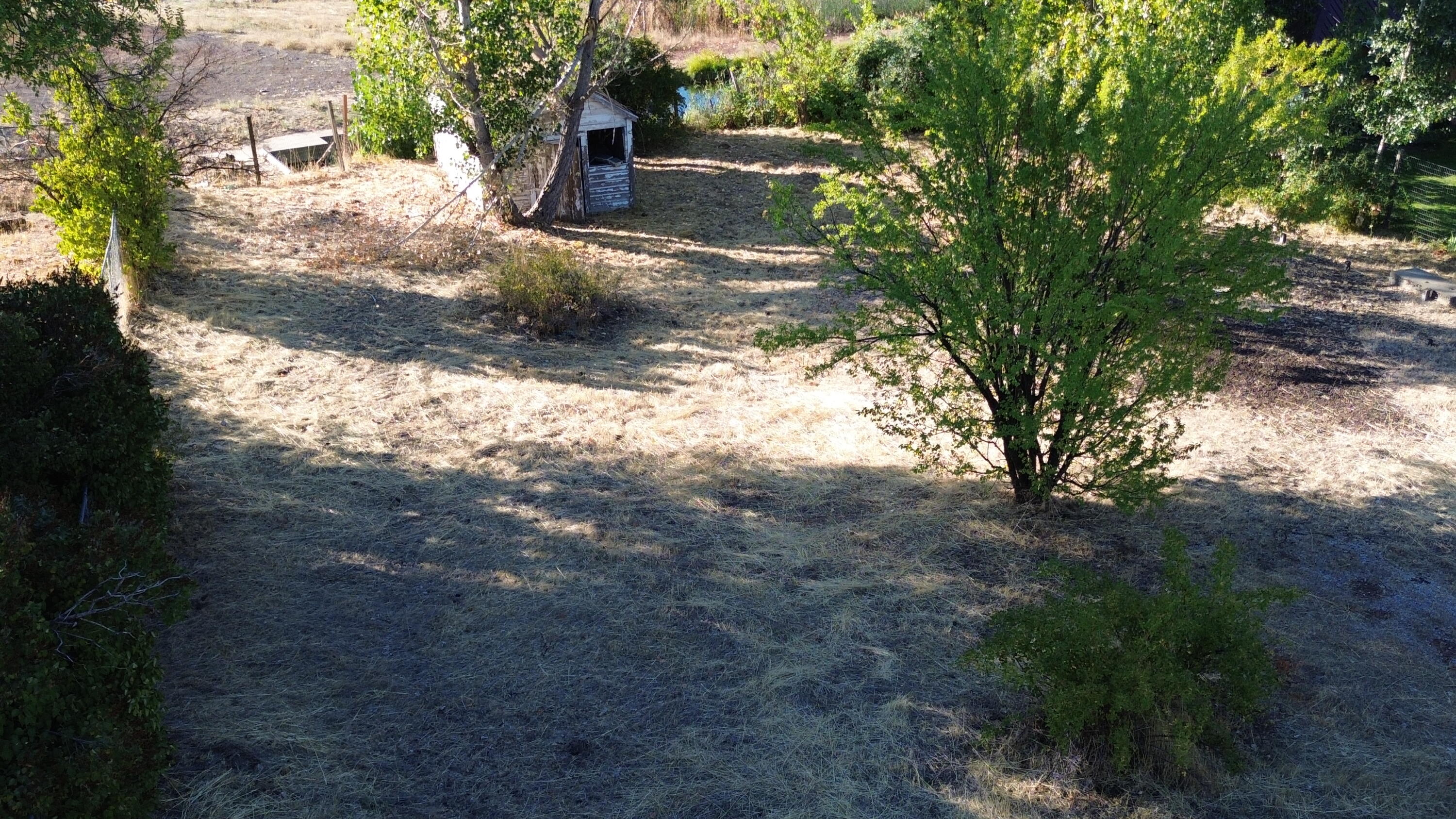 43195 Bridge Street Fall River Mills, CA 96028 - Photo 4 of 20 a view of a yard with plants and trees