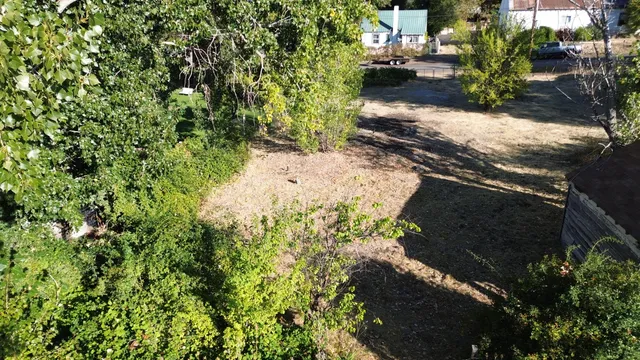 a view of a yard and potted plants