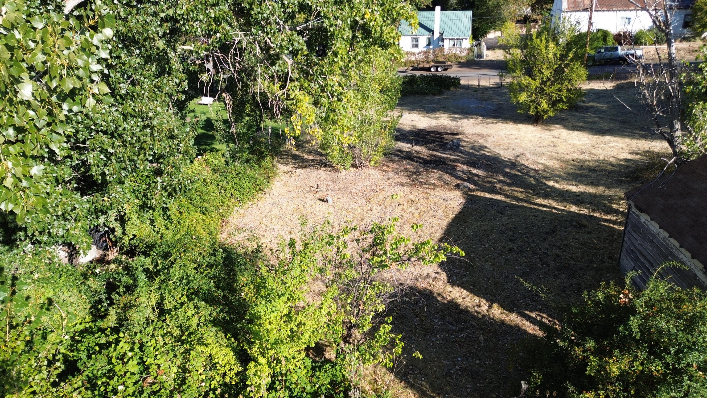 43195 Bridge Street Fall River Mills, CA 96028 - Photo 6 of 20 a view of a yard with plants and trees