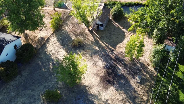 a view of a garden with plants
