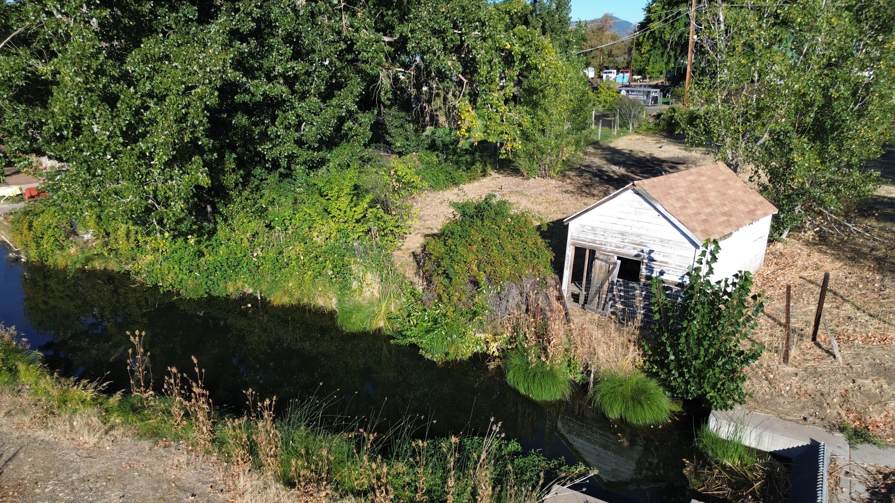 43195 Bridge Street Fall River Mills, CA 96028 - Photo 10 of 20 a view of a garden with plants