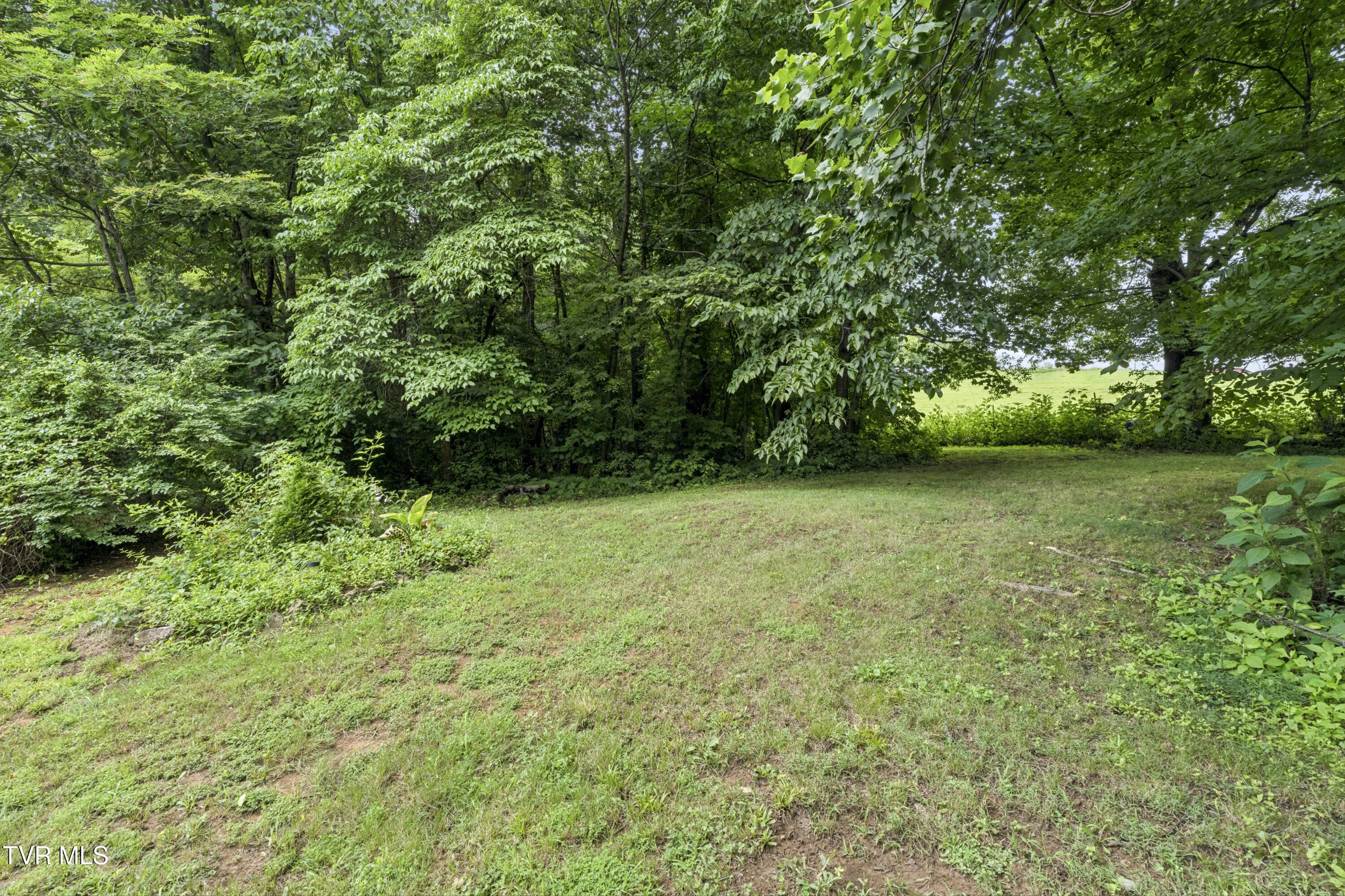 130 Valley Road Telford, TN 37690 - Photo 47 of 65 Valley-46