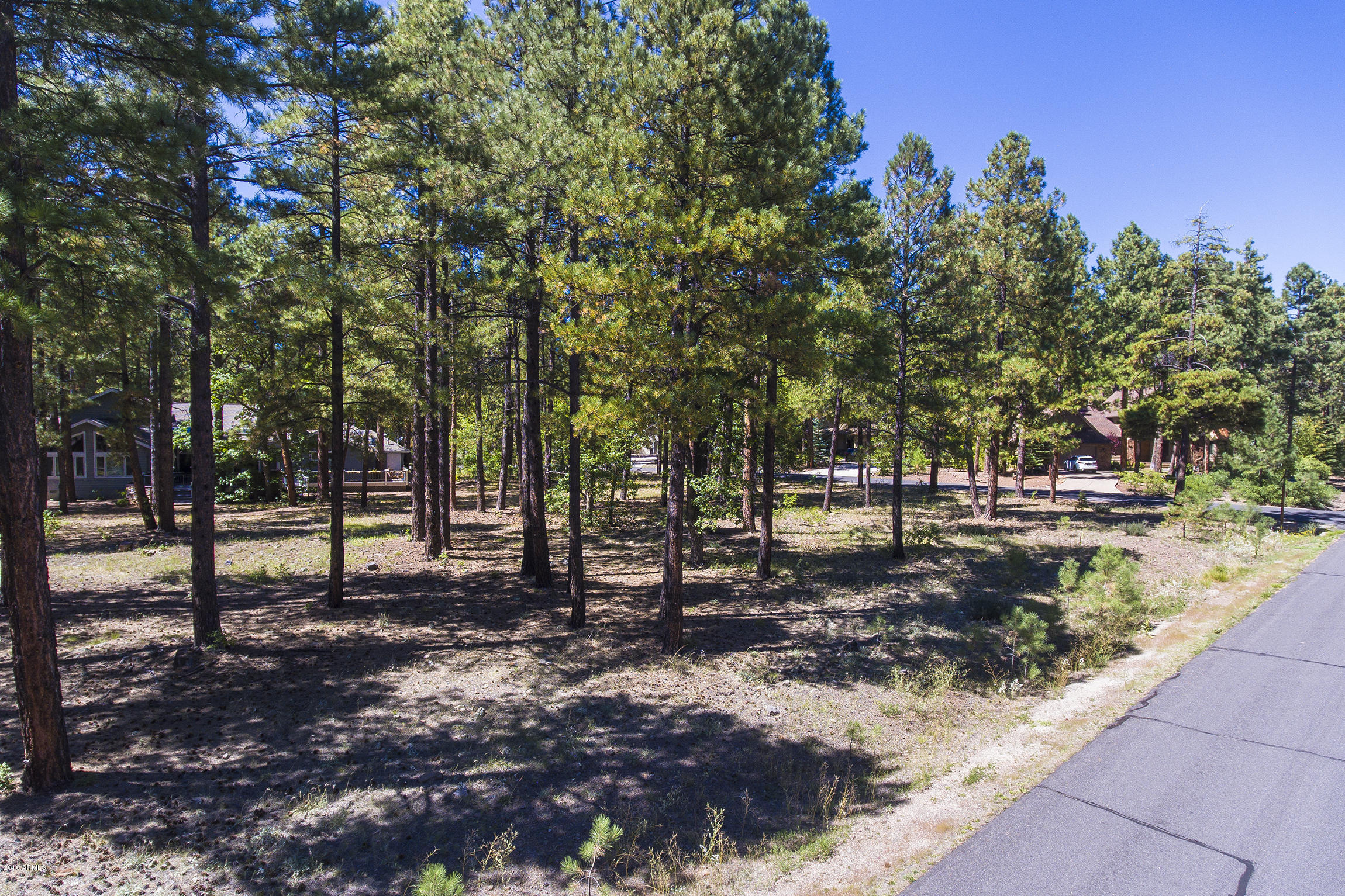 2898 Lindberg Spring, Unit 514 Flagstaff, AZ 86005 - Photo 11 of 12 DJI_0020edit