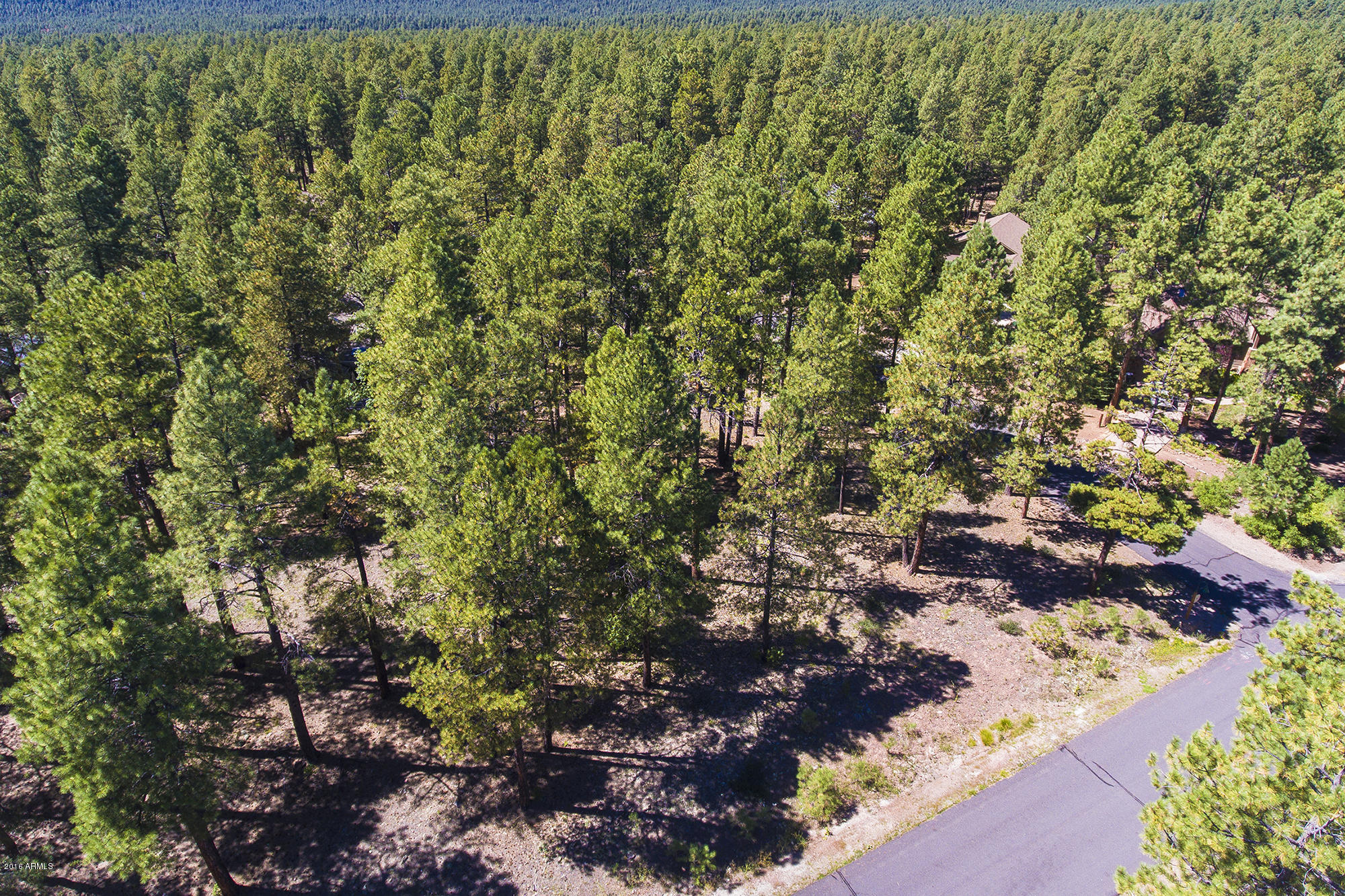 2898 Lindberg Spring, Unit 514 Flagstaff, AZ 86005 - Photo 2 of 12 DJI_0024edit
