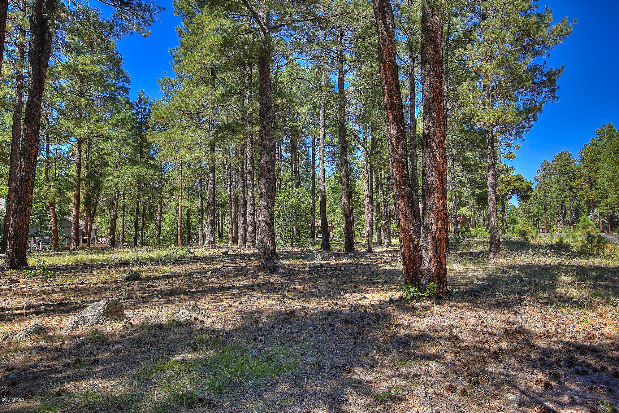 2898 Lindberg Spring, Unit 514 Flagstaff, AZ 86005 - Photo 4 of 12 01edit