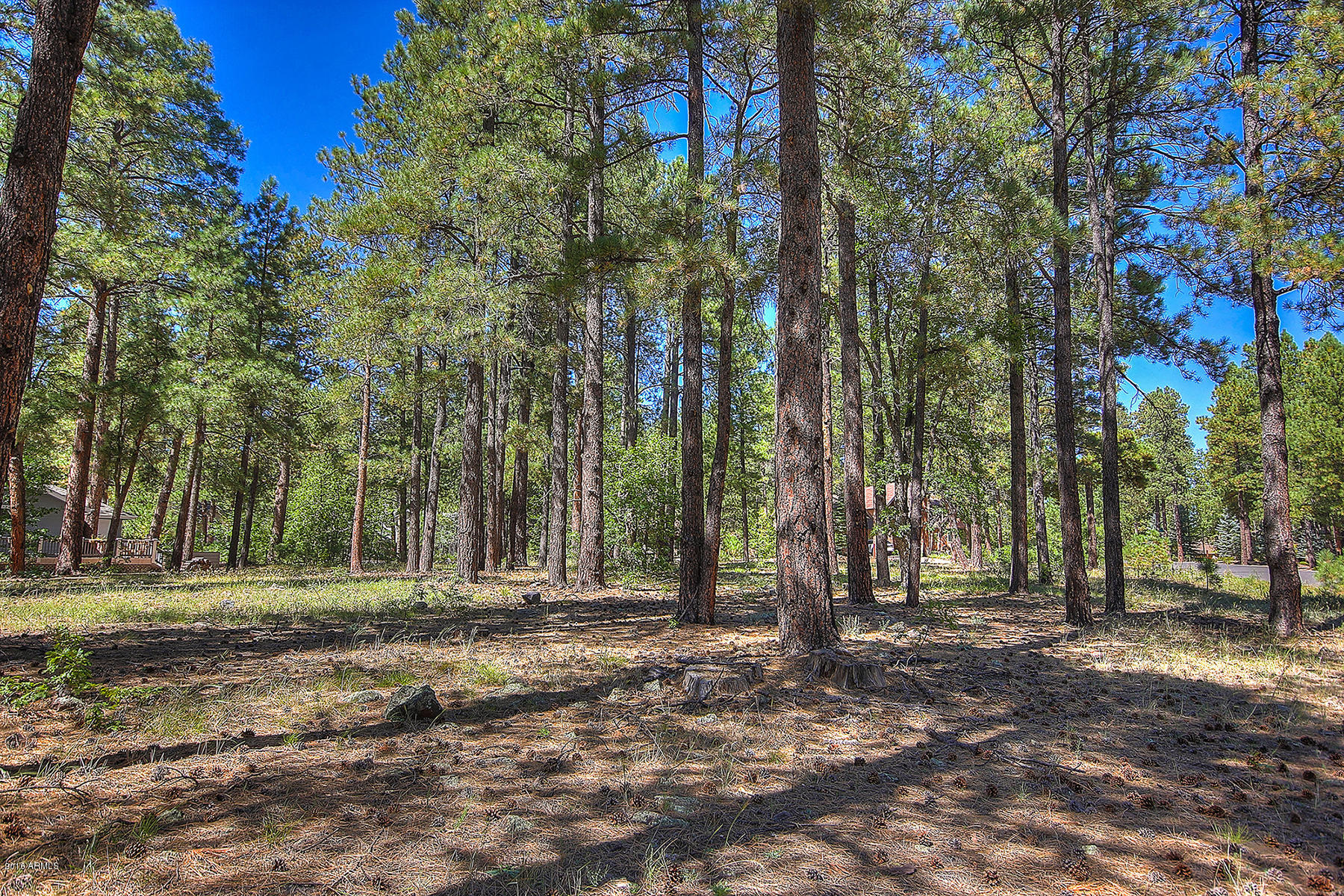 2898 Lindberg Spring, Unit 514 Flagstaff, AZ 86005 - Photo 5 of 12 02edit