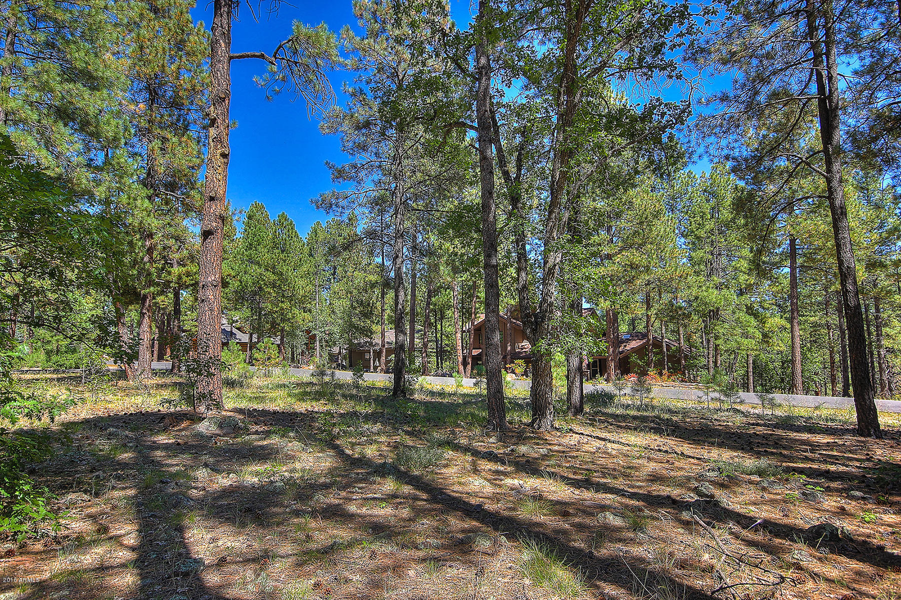 2898 Lindberg Spring, Unit 514 Flagstaff, AZ 86005 - Photo 6 of 12 05edit