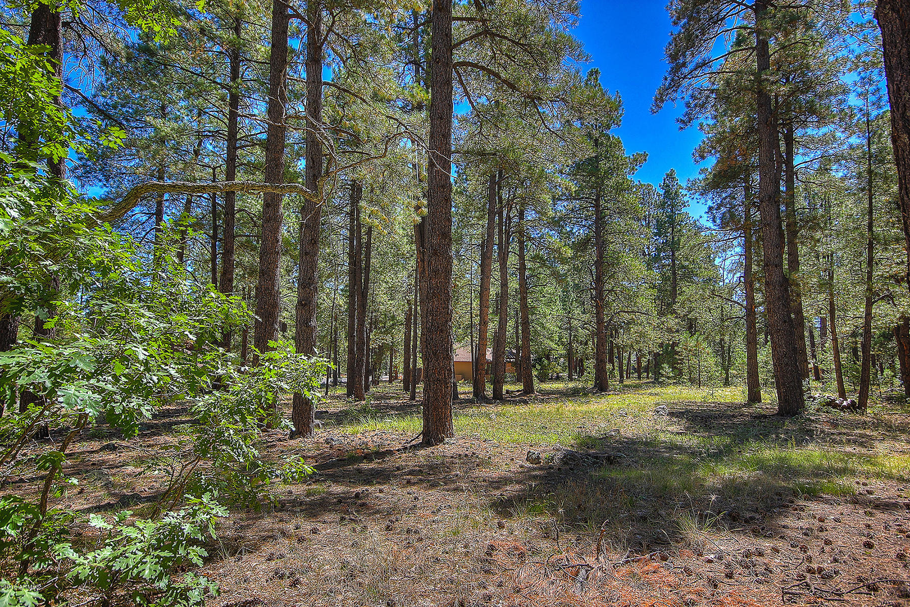 2898 Lindberg Spring, Unit 514 Flagstaff, AZ 86005 - Photo 7 of 12 06edit