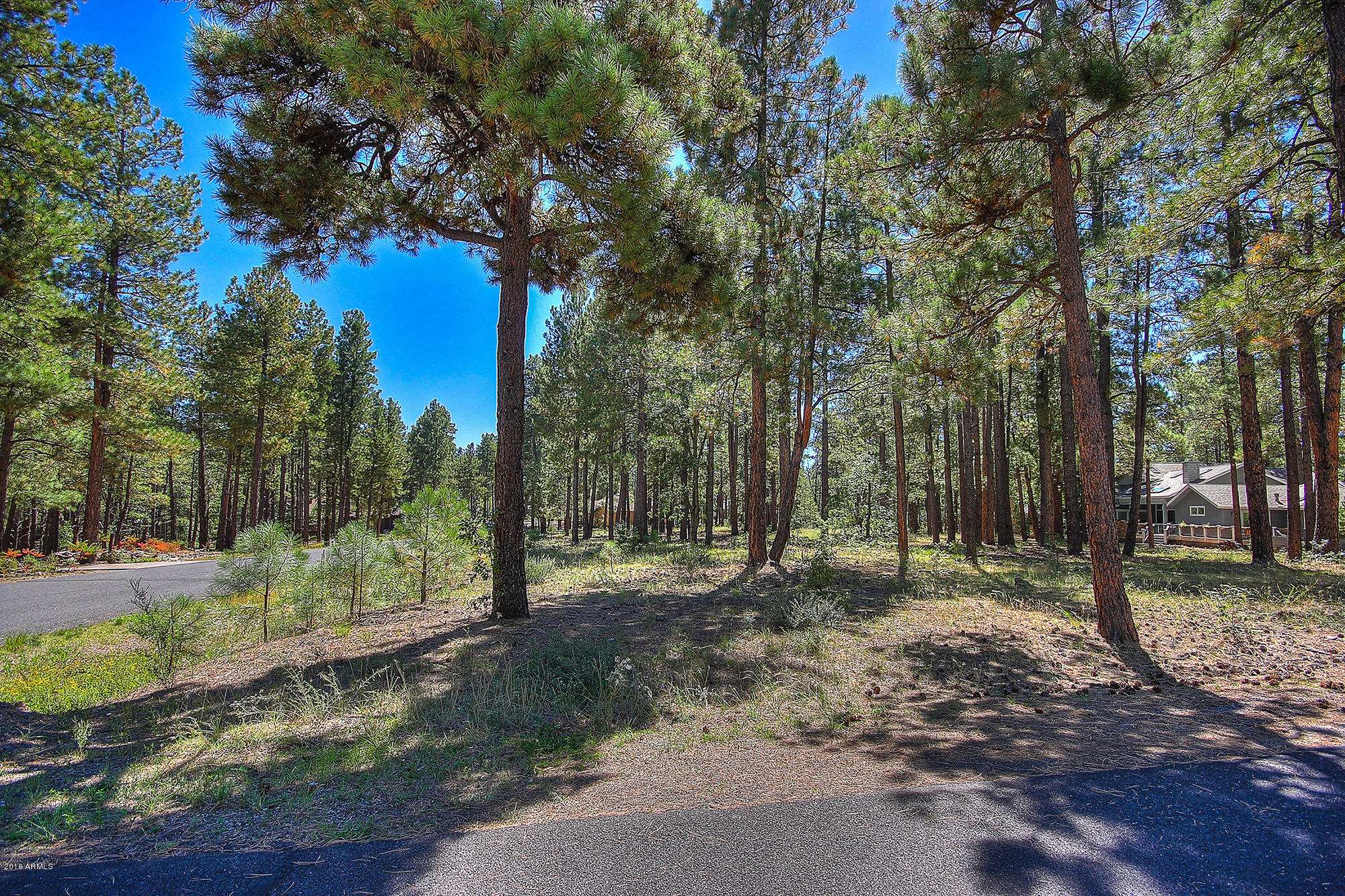 2898 Lindberg Spring, Unit 514 Flagstaff, AZ 86005 - Photo 8 of 12 09edit