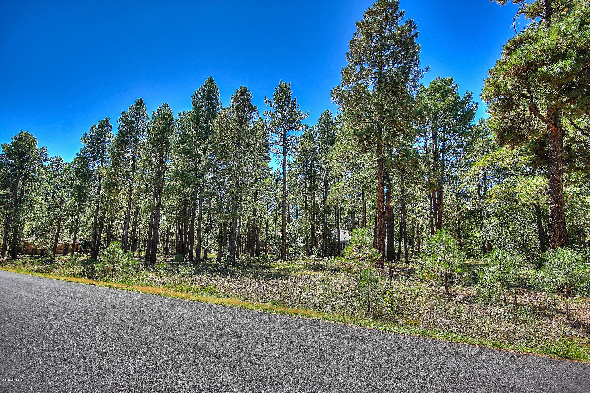 2898 Lindberg Spring, Unit 514 Flagstaff, AZ 86005 - Photo 10 of 12 14edit