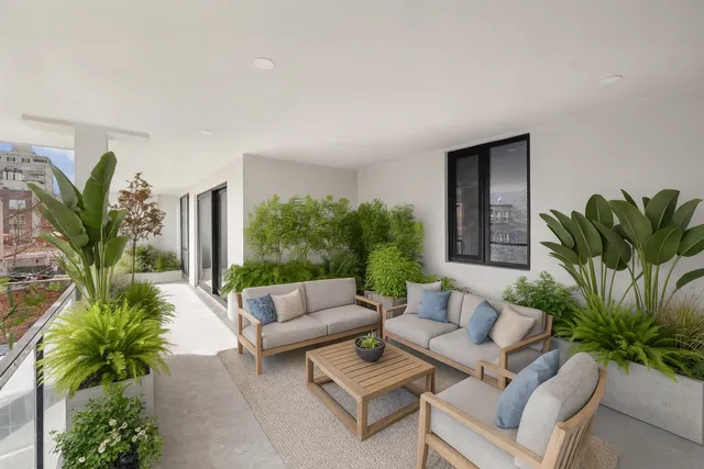 a living room with furniture potted plant and a window