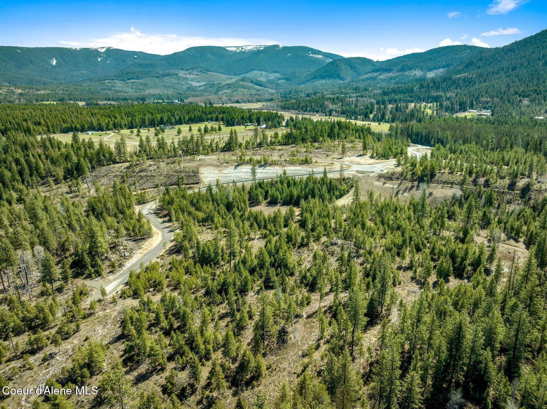 Nka Nka Dickens Road Athol, ID 83801 - Photo 20 of 44 20250416191313610792000000-o