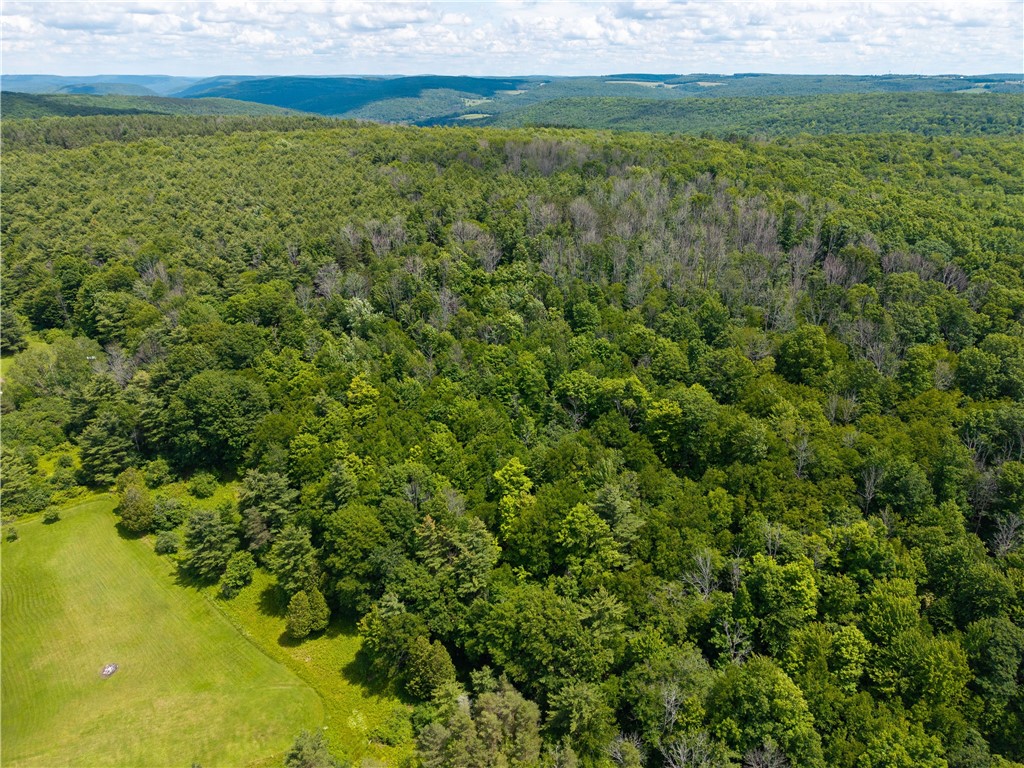 192 Alfred Station Road Hartsville, NY 14803 - Photo 44 of 50