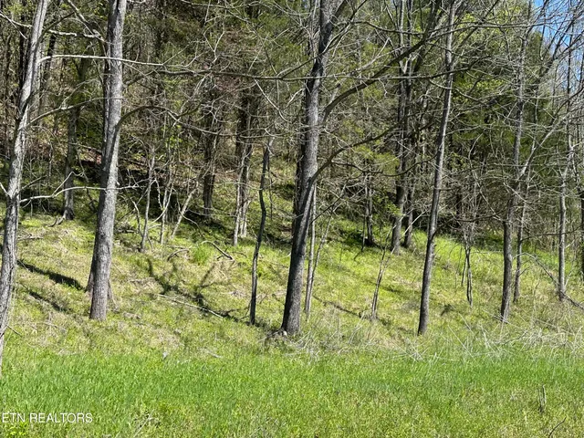 $299,900 | War Creek Road, Thorn Hill, TN 37881