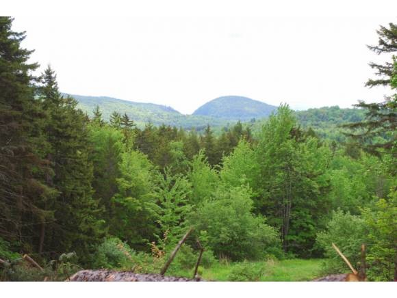 0 Shaw Mansion Road Waterbury Center, VT 05677 - Photo 1 of 1 Gallery Image 1