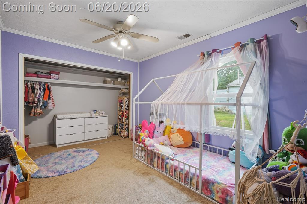 3604 Minton Road Lake Orion, MI 48359 - Photo 29 of 54