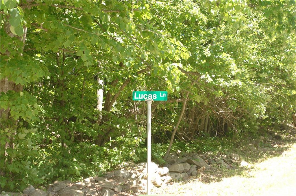 Lucas Lane is the dirt road to the lake.