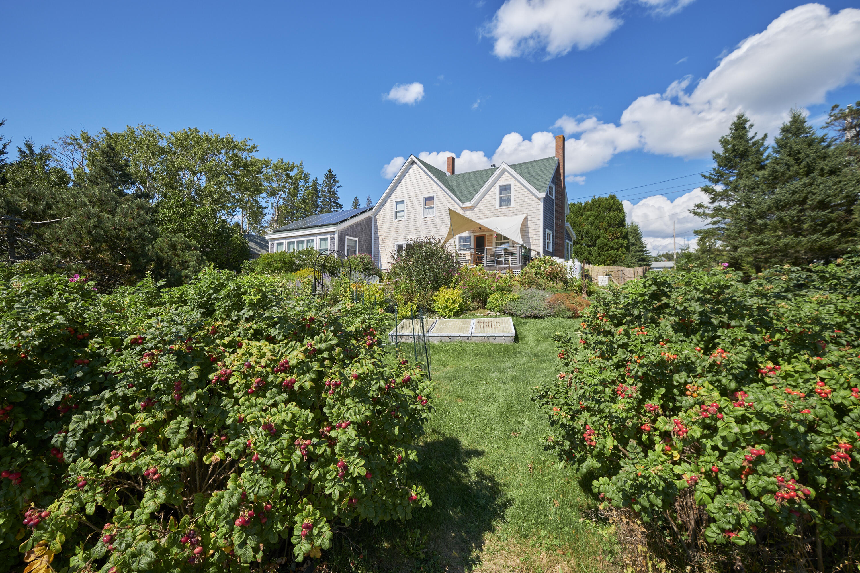 170 Horse Point Road Tenants Harbor, ME 04860 - Photo 8 of 71 08- 170 Horse Point Road - Port Clyde -