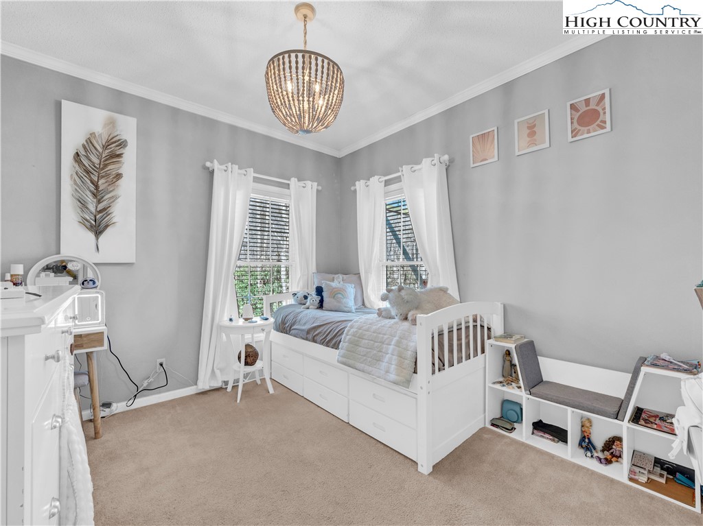 316 Rominger Road Banner Elk, NC 28604 - Photo 18 of 36 Gallery Image 18