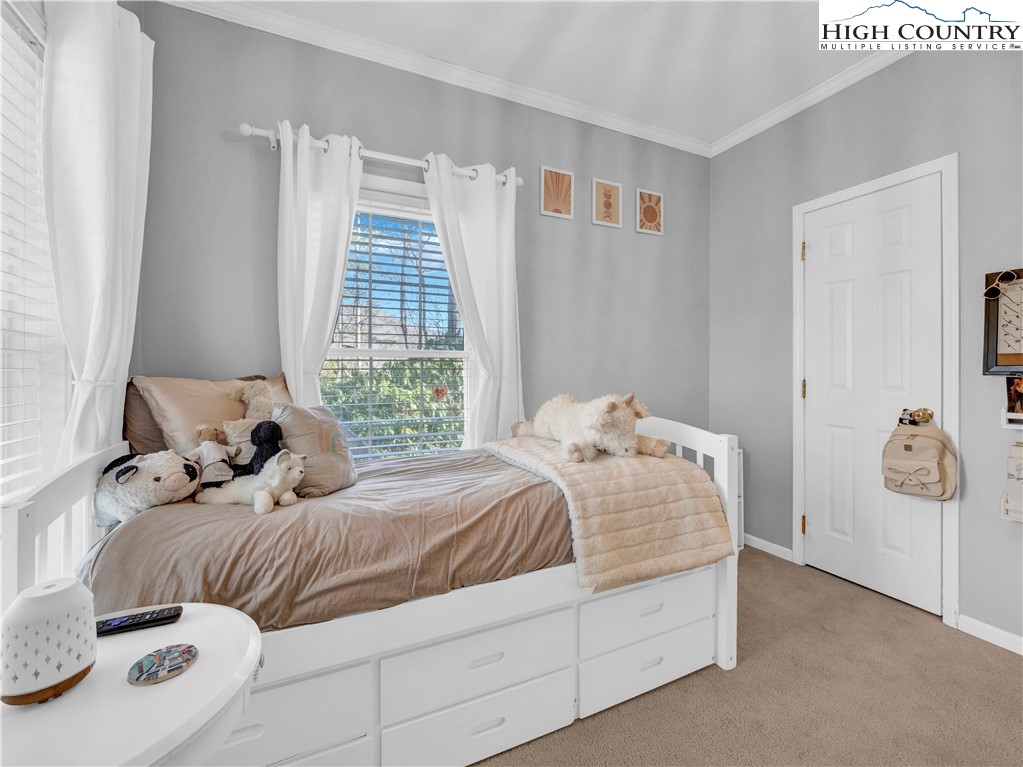316 Rominger Road Banner Elk, NC 28604 - Photo 19 of 36 Gallery Image 19