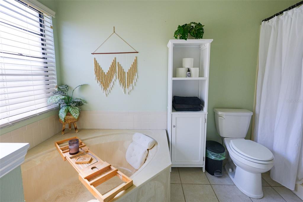 4136 Spring Way Circle Valrico, FL 33596 - Photo 32 of 64