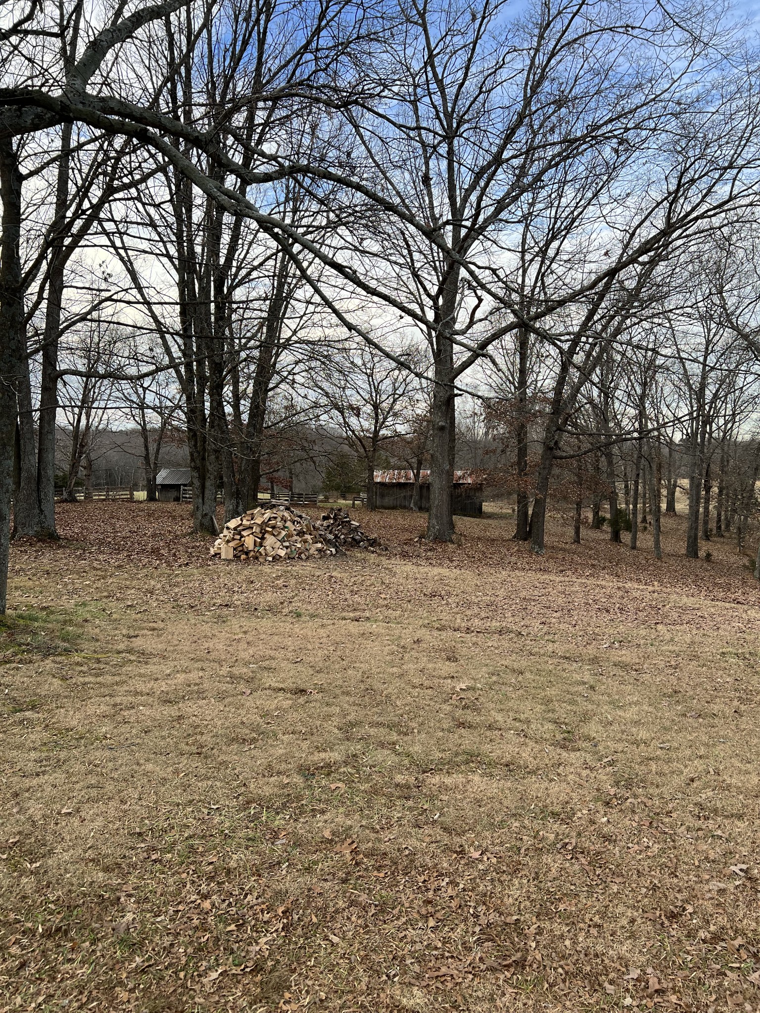 4555 Gamaliel Road Red Boiling Springs, TN 37150 - Photo 18 of 25 a backyard of a house with large trees
