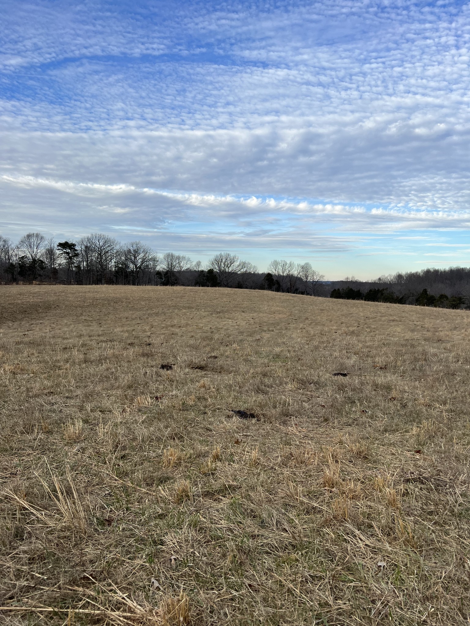 4555 Gamaliel Road Red Boiling Springs, TN 37150 - Photo 23 of 25 a view of an ocean