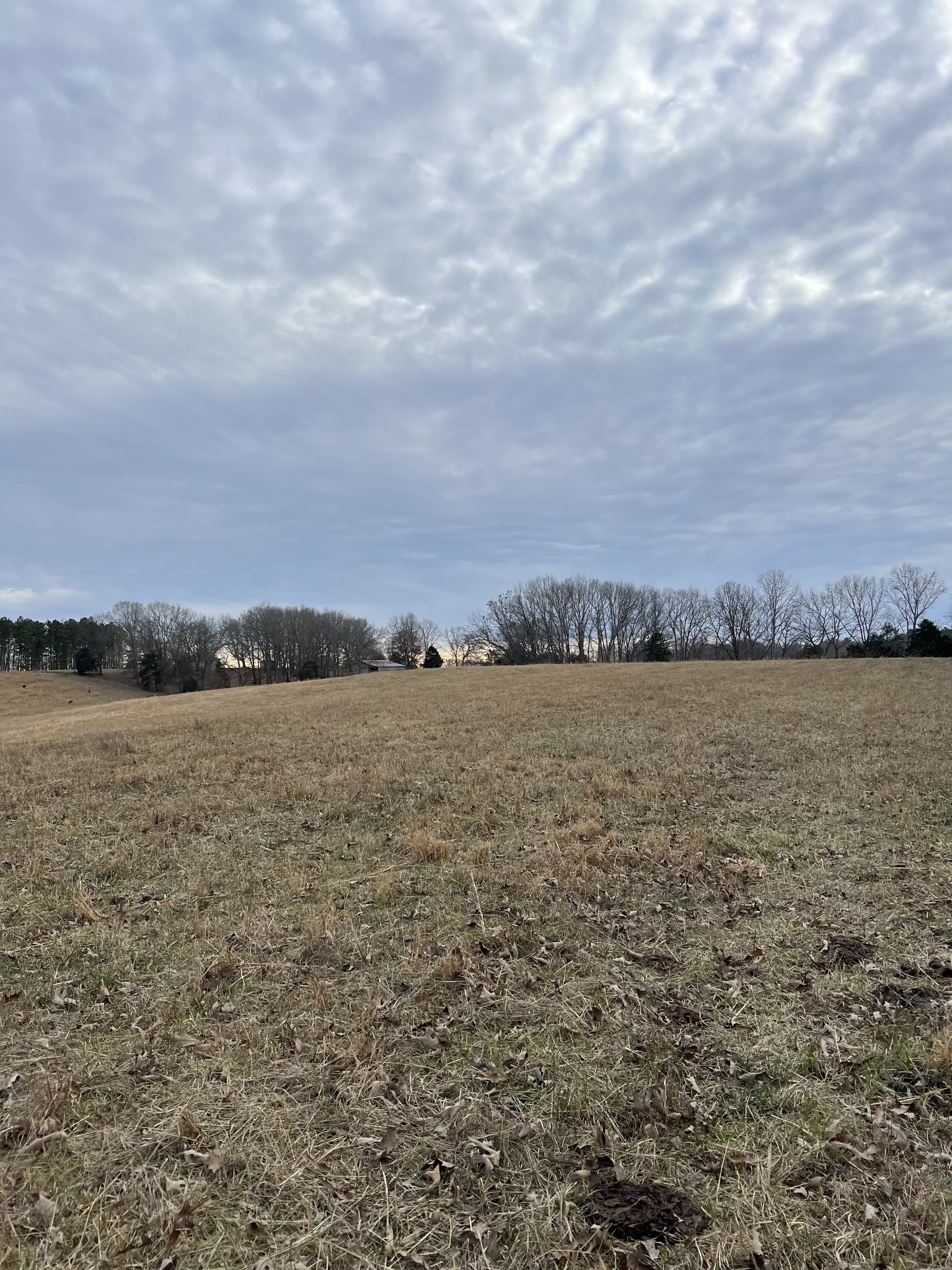 4555 Gamaliel Road Red Boiling Springs, TN 37150 - Photo 25 of 25 a view of lake