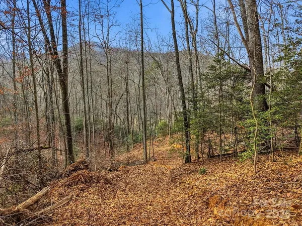 $160,000 | 0 Barkers Creek Road, Whittier, NC 28789