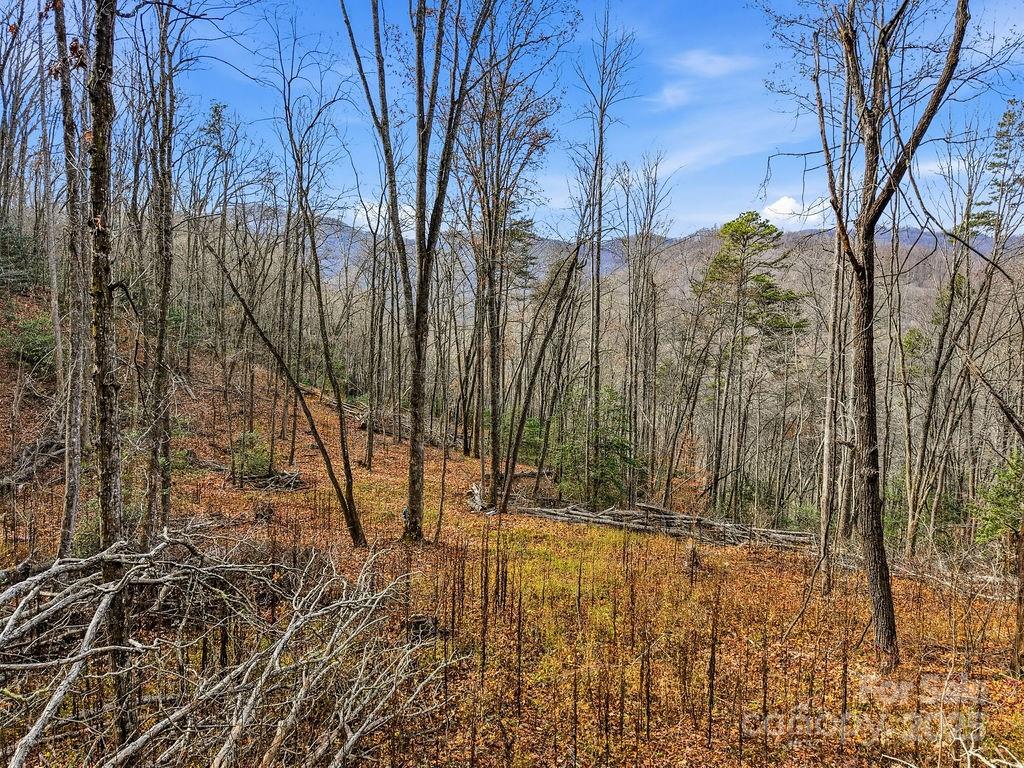 0 Barkers Creek Road Whittier, NC 28789 - Photo 11 of 25 a view of back yard