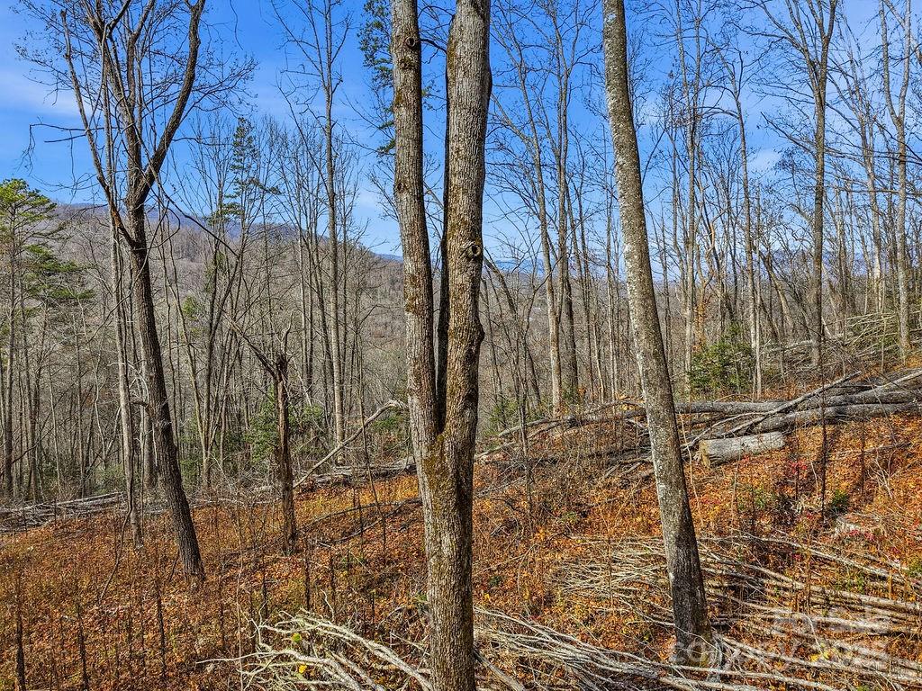 0 Barkers Creek Road Whittier, NC 28789 - Photo 12 of 25 a view of a pathway of a building