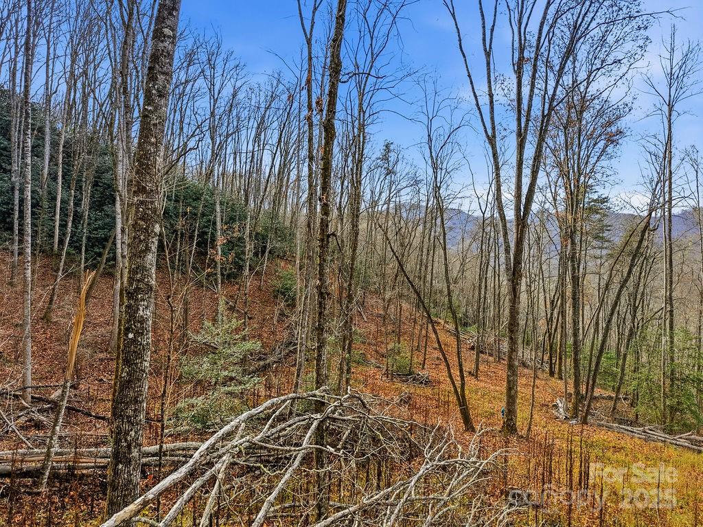 0 Barkers Creek Road Whittier, NC 28789 - Photo 13 of 25 a view of a yard