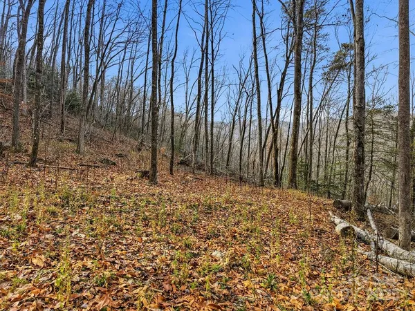 $160,000 | 0 Barkers Creek Road, Whittier, NC 28789