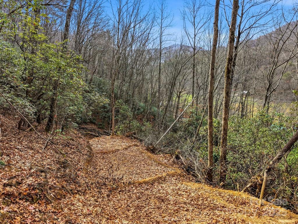 0 Barkers Creek Road Whittier, NC 28789 - Photo 15 of 25 a view of a forest filled with trees