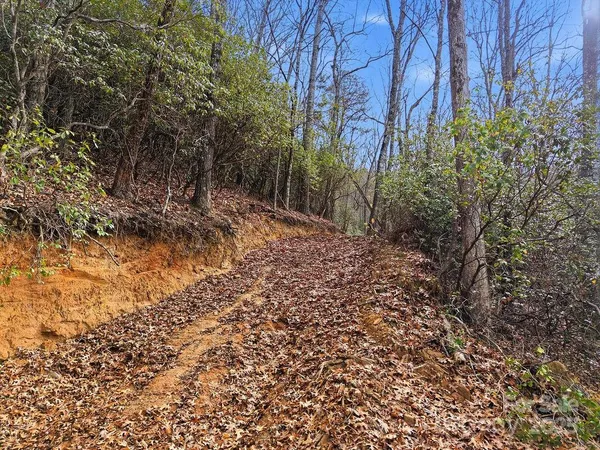 $160,000 | 0 Barkers Creek Road, Whittier, NC 28789