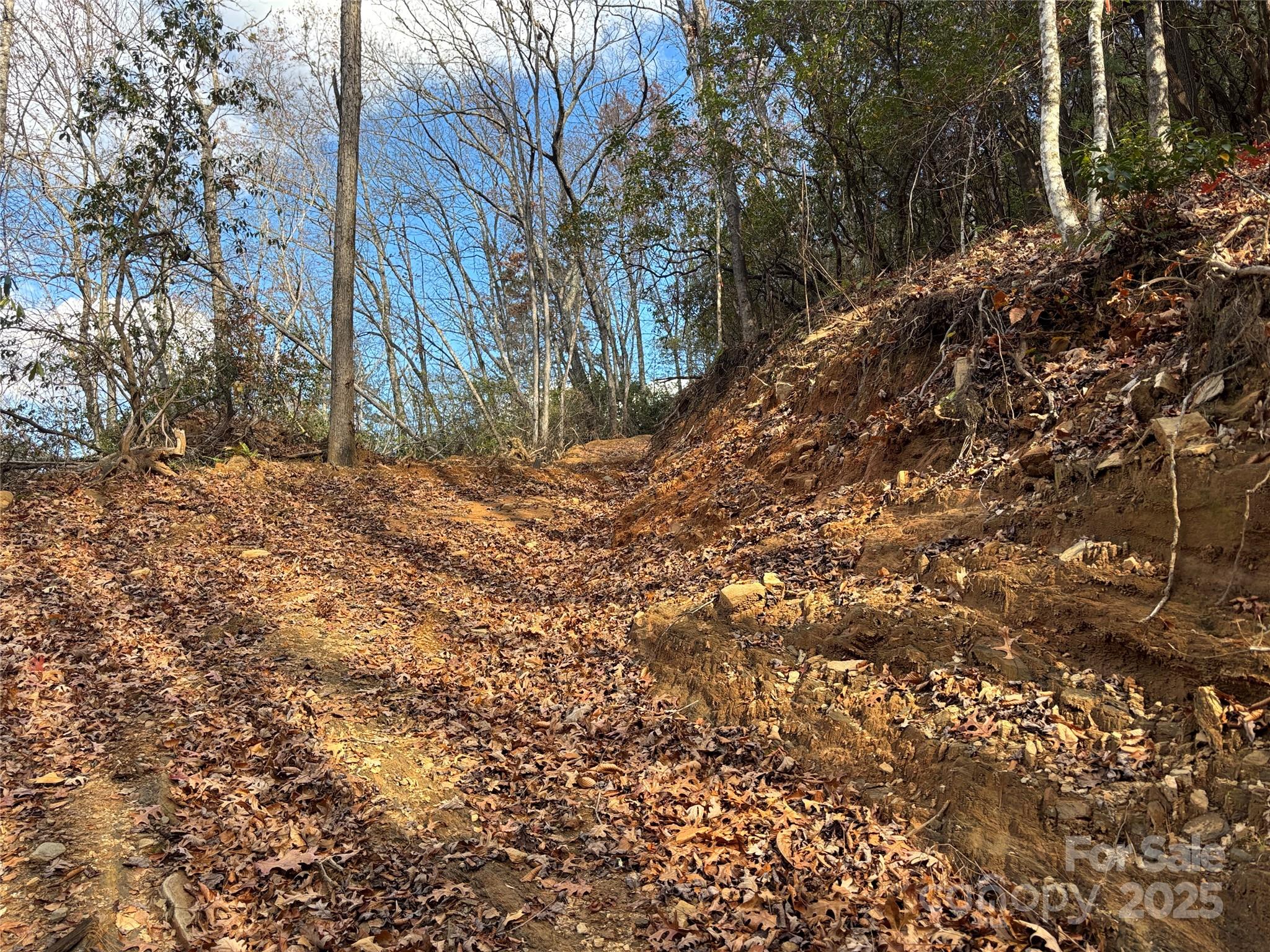 0 Barkers Creek Road Whittier, NC 28789 - Photo 18 of 25 a backyard of a house with large trees