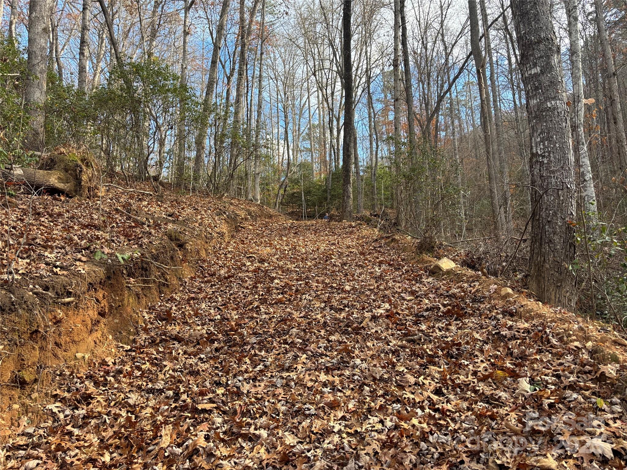 0 Barkers Creek Road Whittier, NC 28789 - Photo 19 of 25 a view of a yard with trees