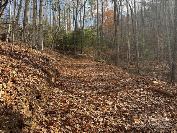 $160,000 | 0 Barkers Creek Road, Whittier, NC 28789