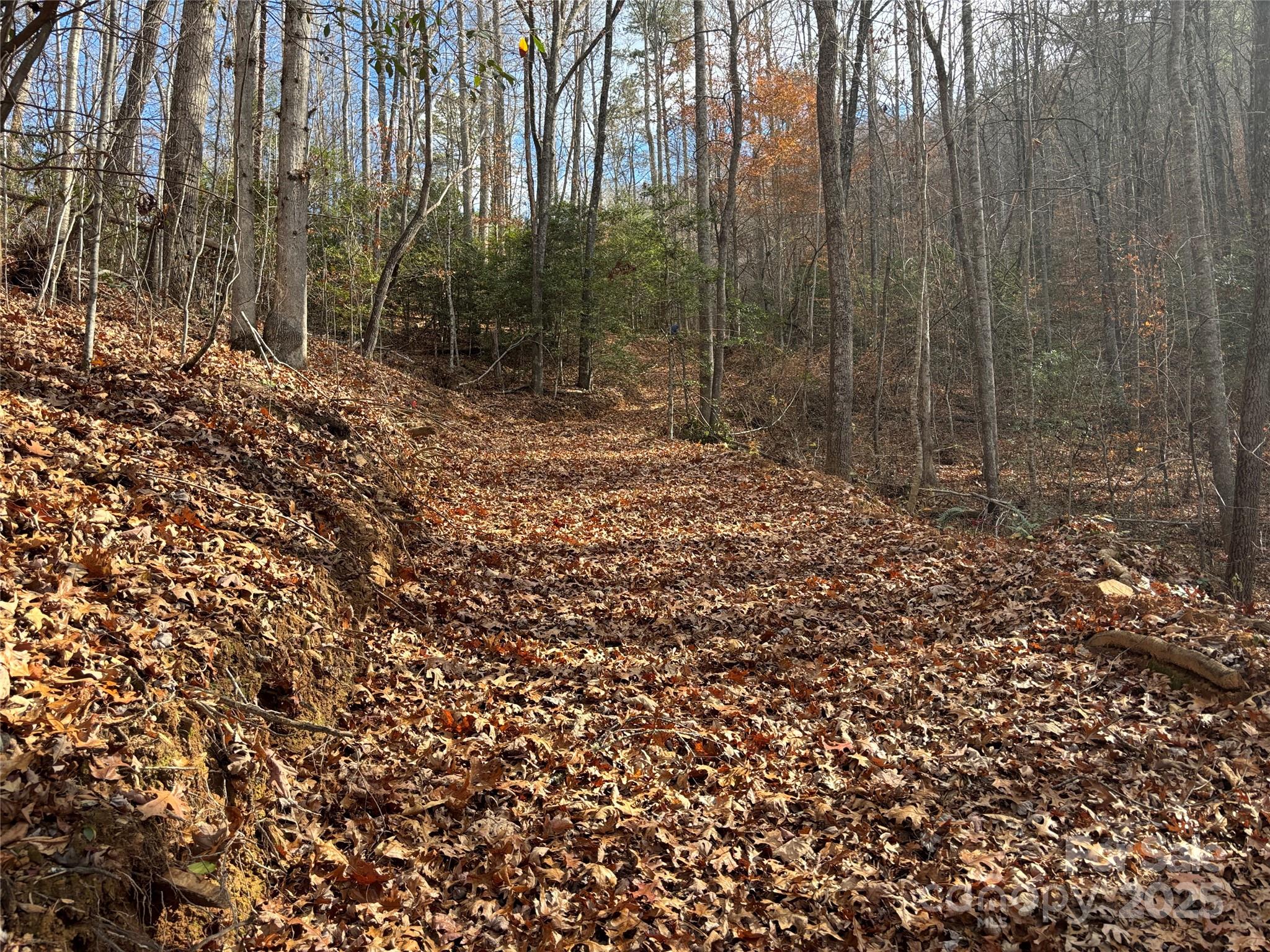 0 Barkers Creek Road Whittier, NC 28789 - Photo 20 of 25 a view of a forest