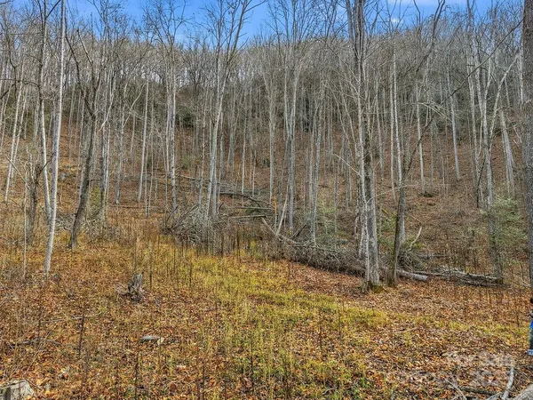 $160,000 | 0 Barkers Creek Road, Whittier, NC 28789