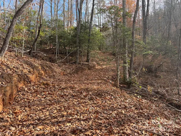 $160,000 | 0 Barkers Creek Road, Whittier, NC 28789