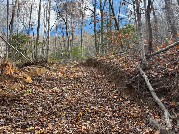 $160,000 | 0 Barkers Creek Road, Whittier, NC 28789